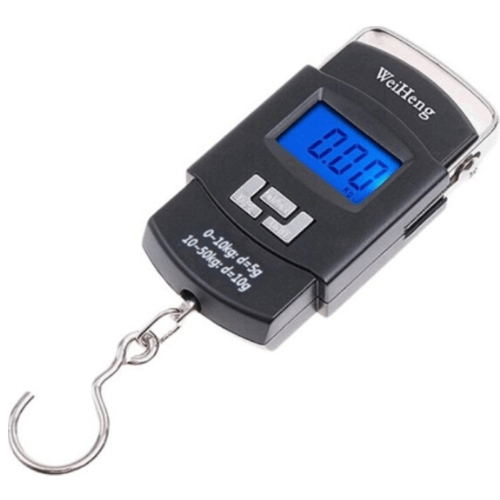 Portable electronic scale