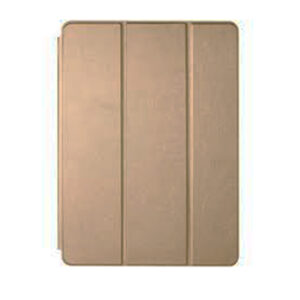 Ipad pro smart case light gold